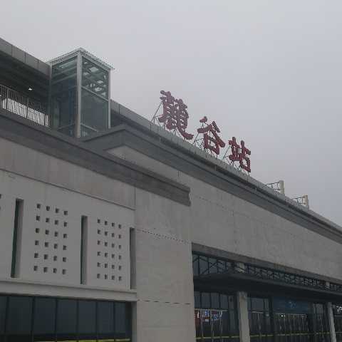 靜態(tài)標識設(shè)計案例：麓谷站